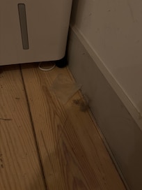 The dirt that came from under the Murphy bed, gross.