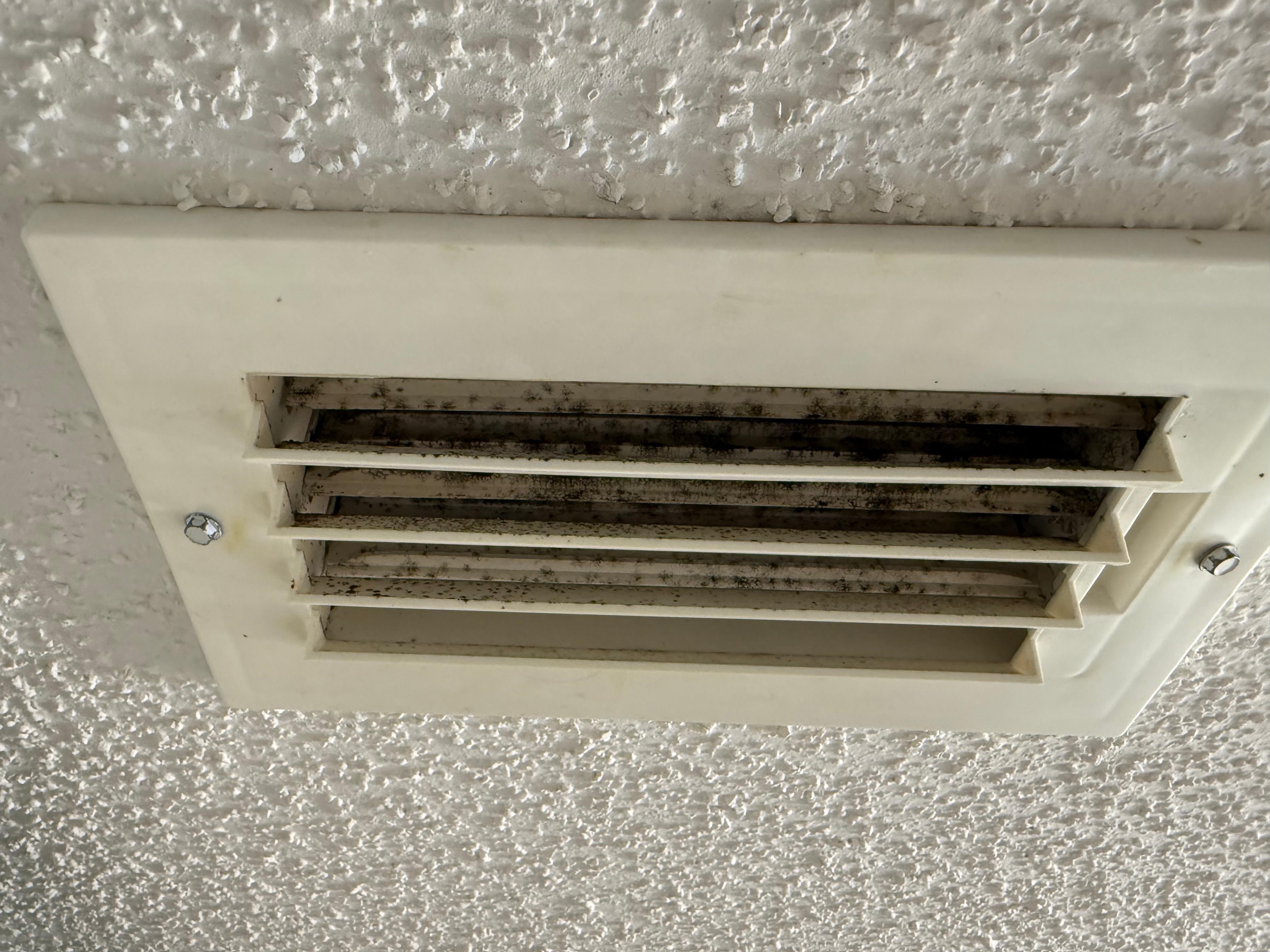 Mold in bathroom vent
