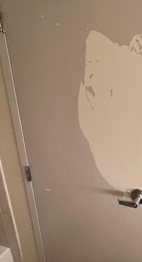 Bathroom door