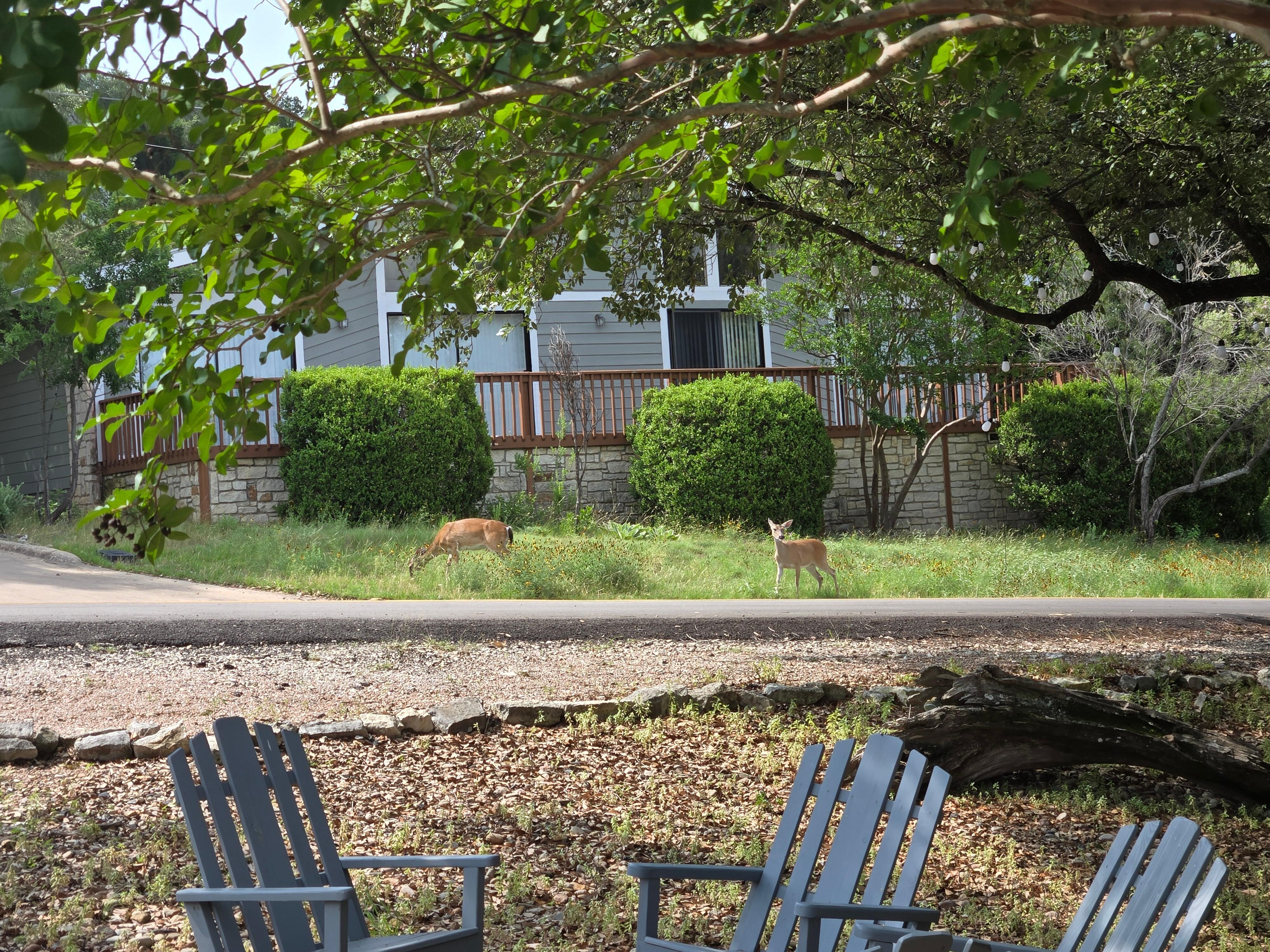 View from the front porch every morning