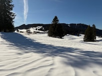 Aux Rousses toutes proches