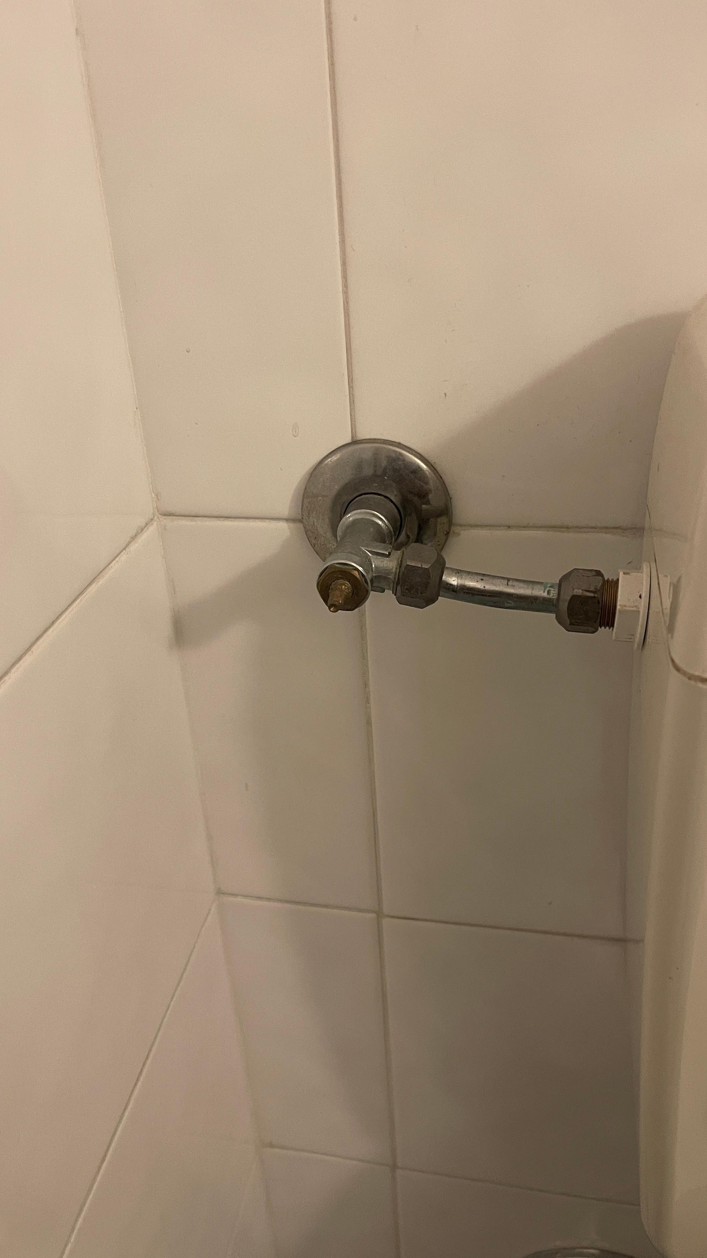 This is how you flush the toilet 