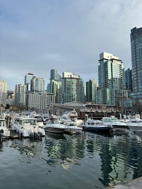 Harbor walk