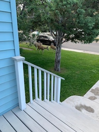 Deer visited ❤️