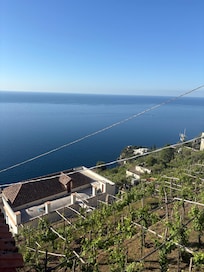 View from the entrance of home