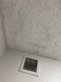 Black mold in the bathroom