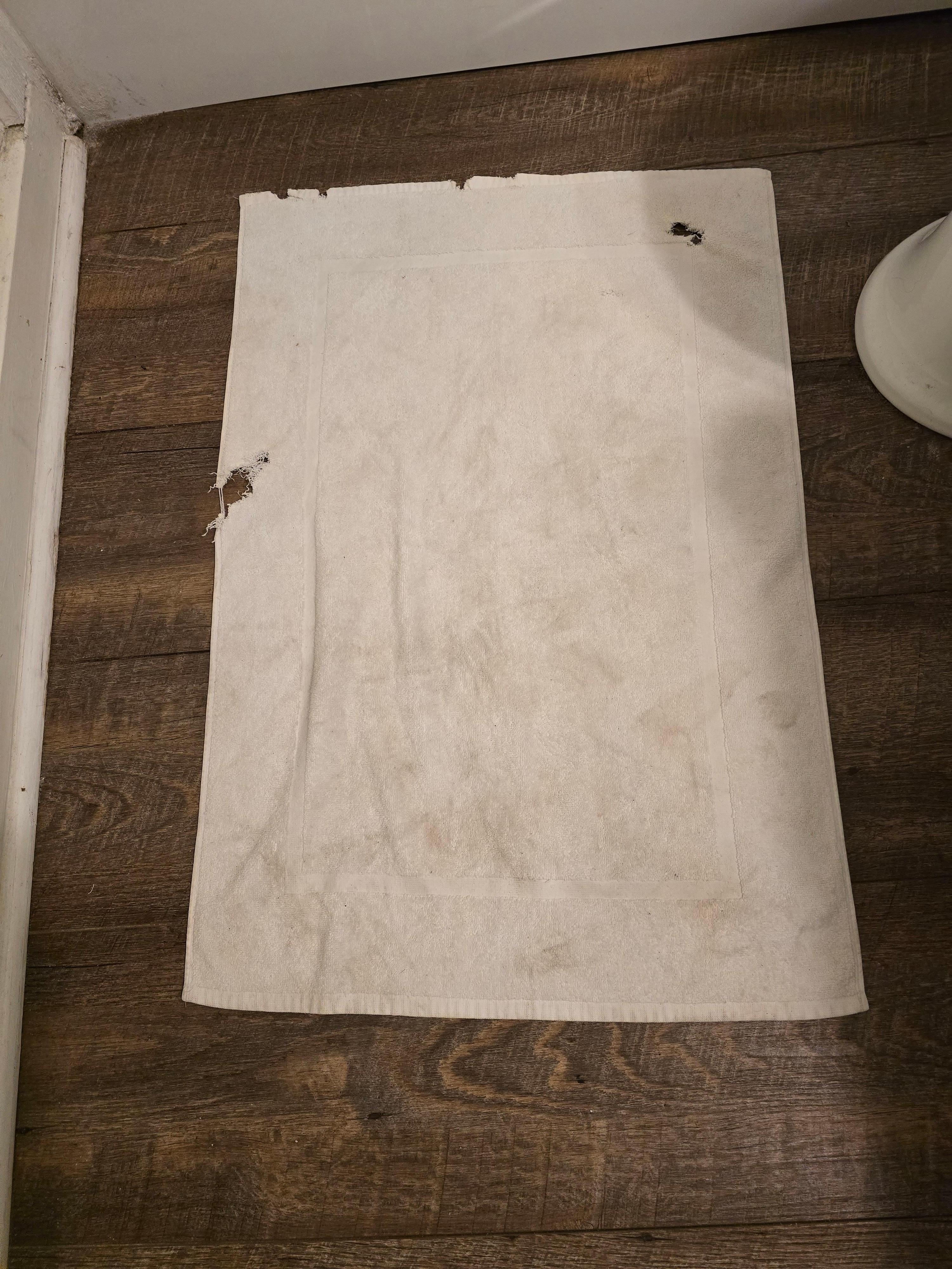 Bath Rug from bathroom