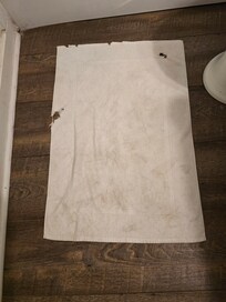 Bath Rug from bathroom