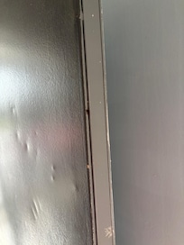 Roaches. Coming in door