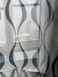 mold