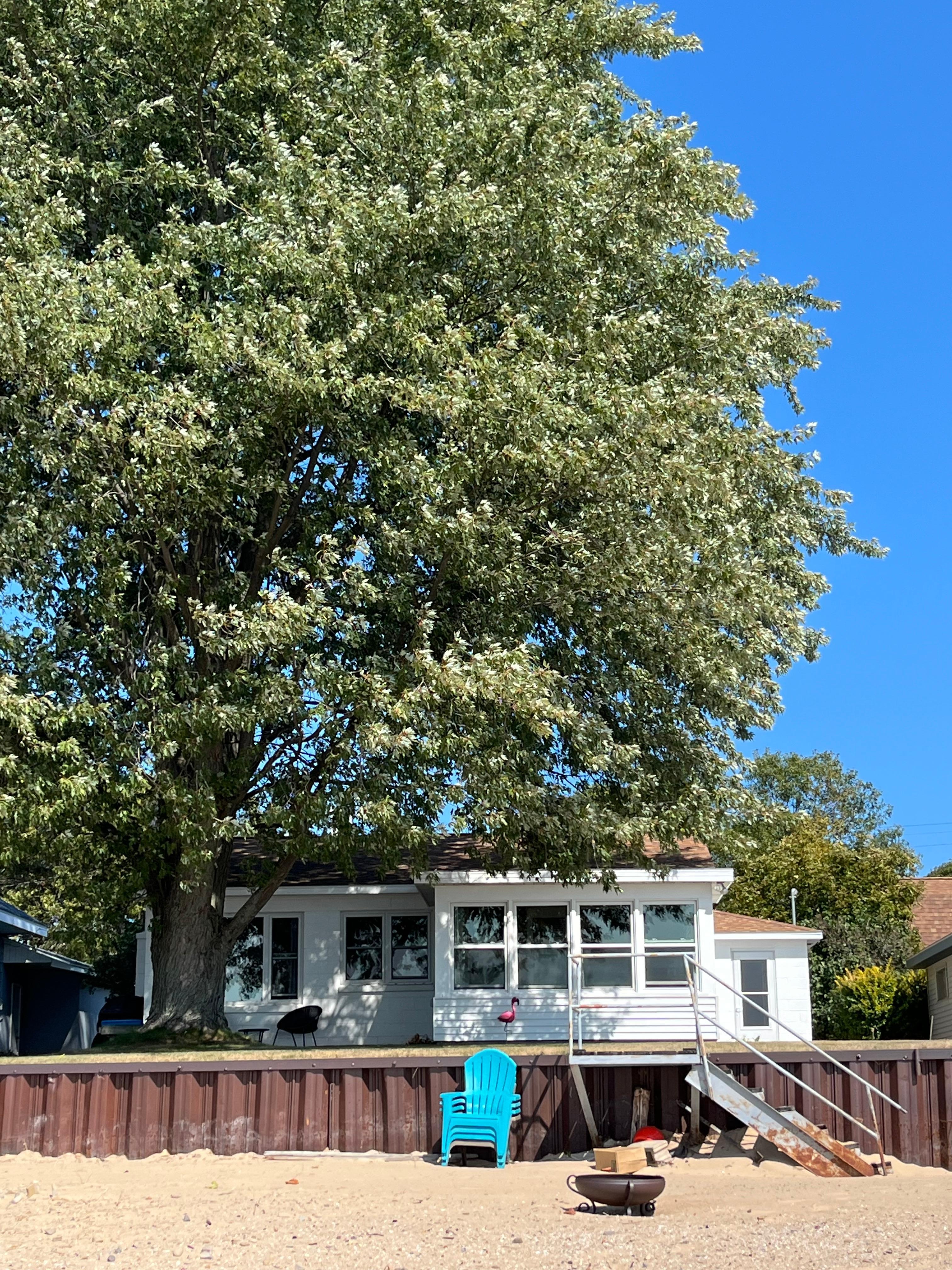 Luv the shade/sun exposure.