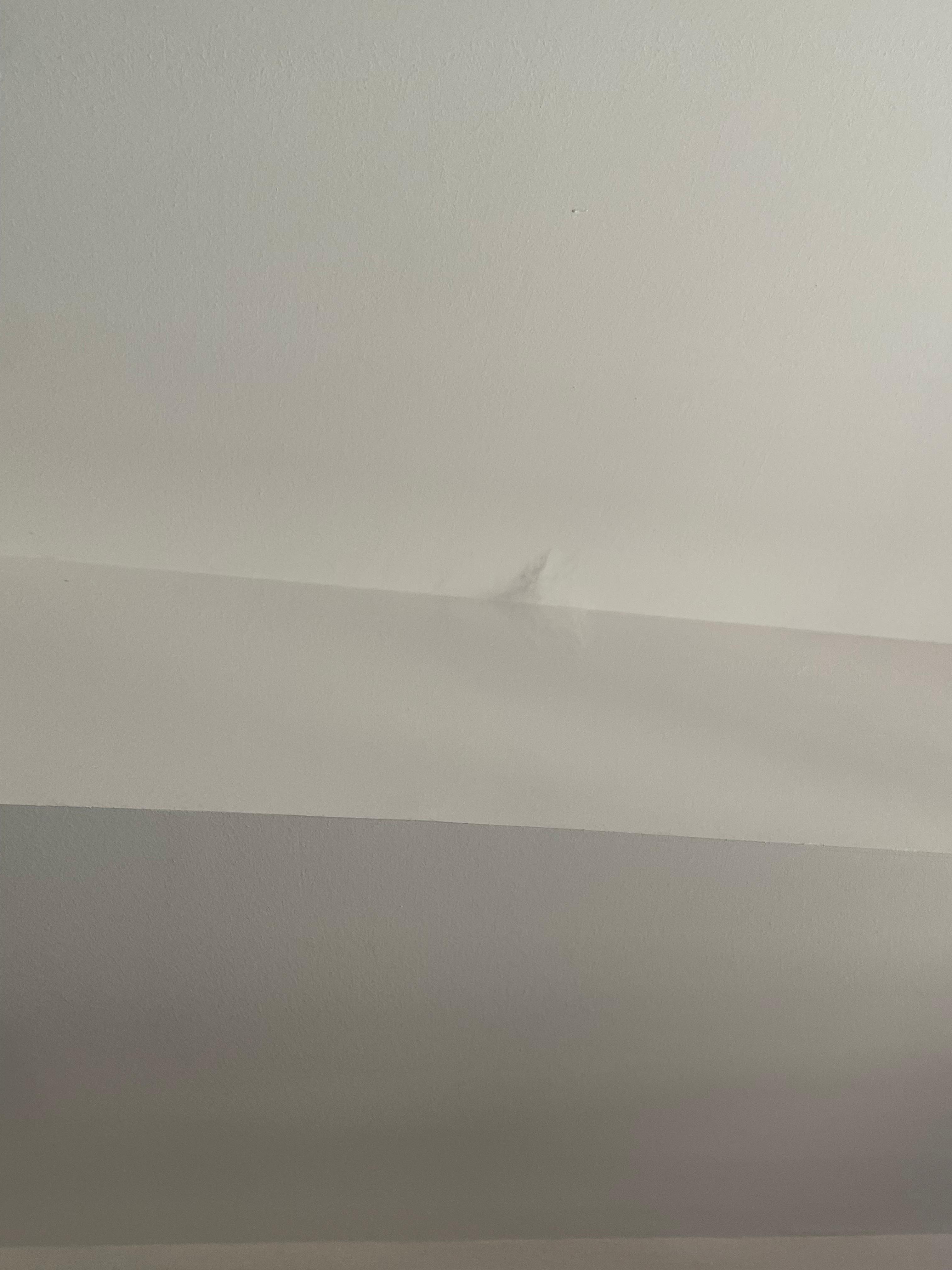 Some type of huge spider web