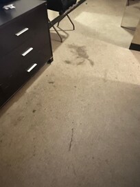 Nasty floor in my room.