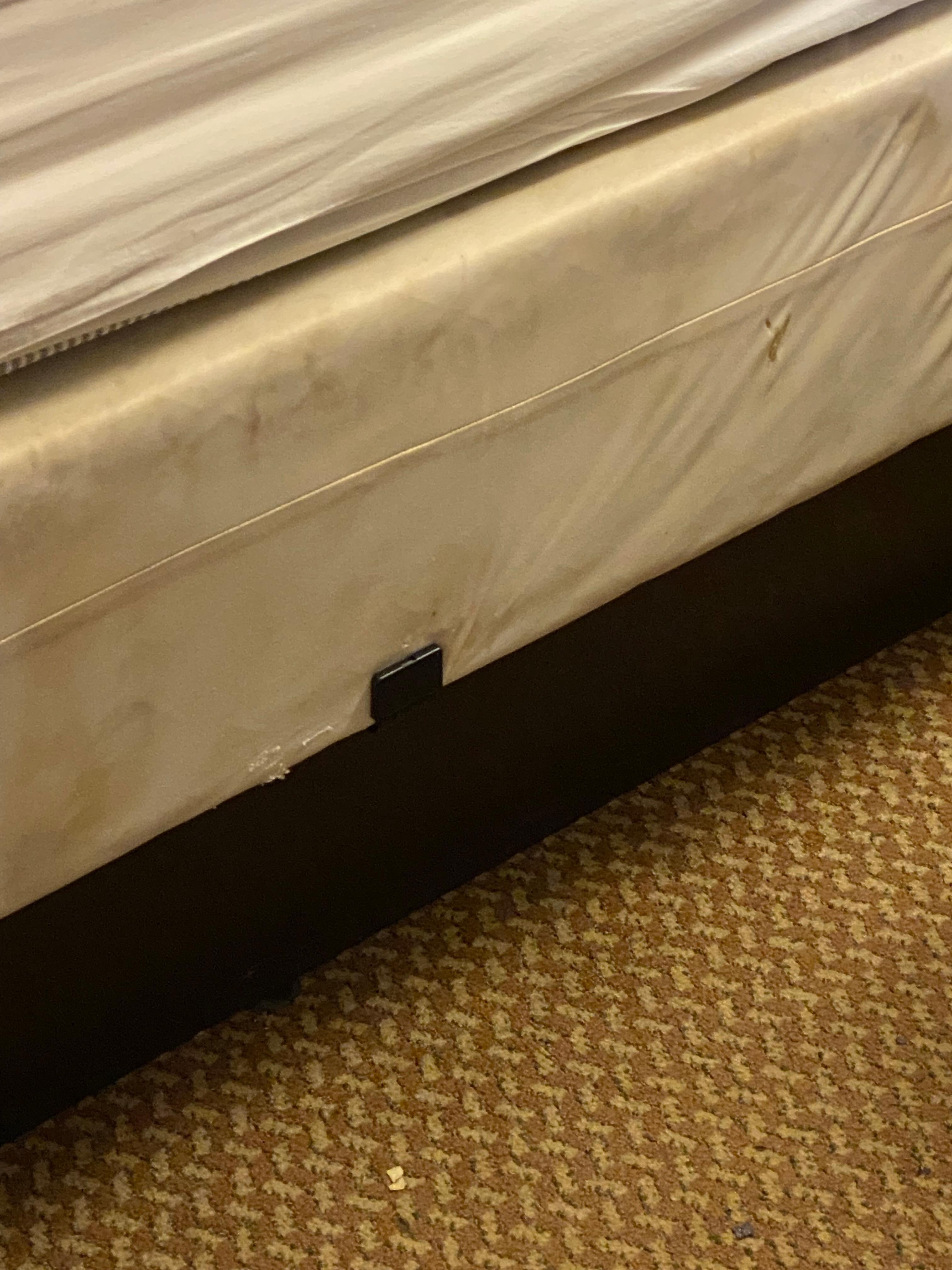 Dirty box spring