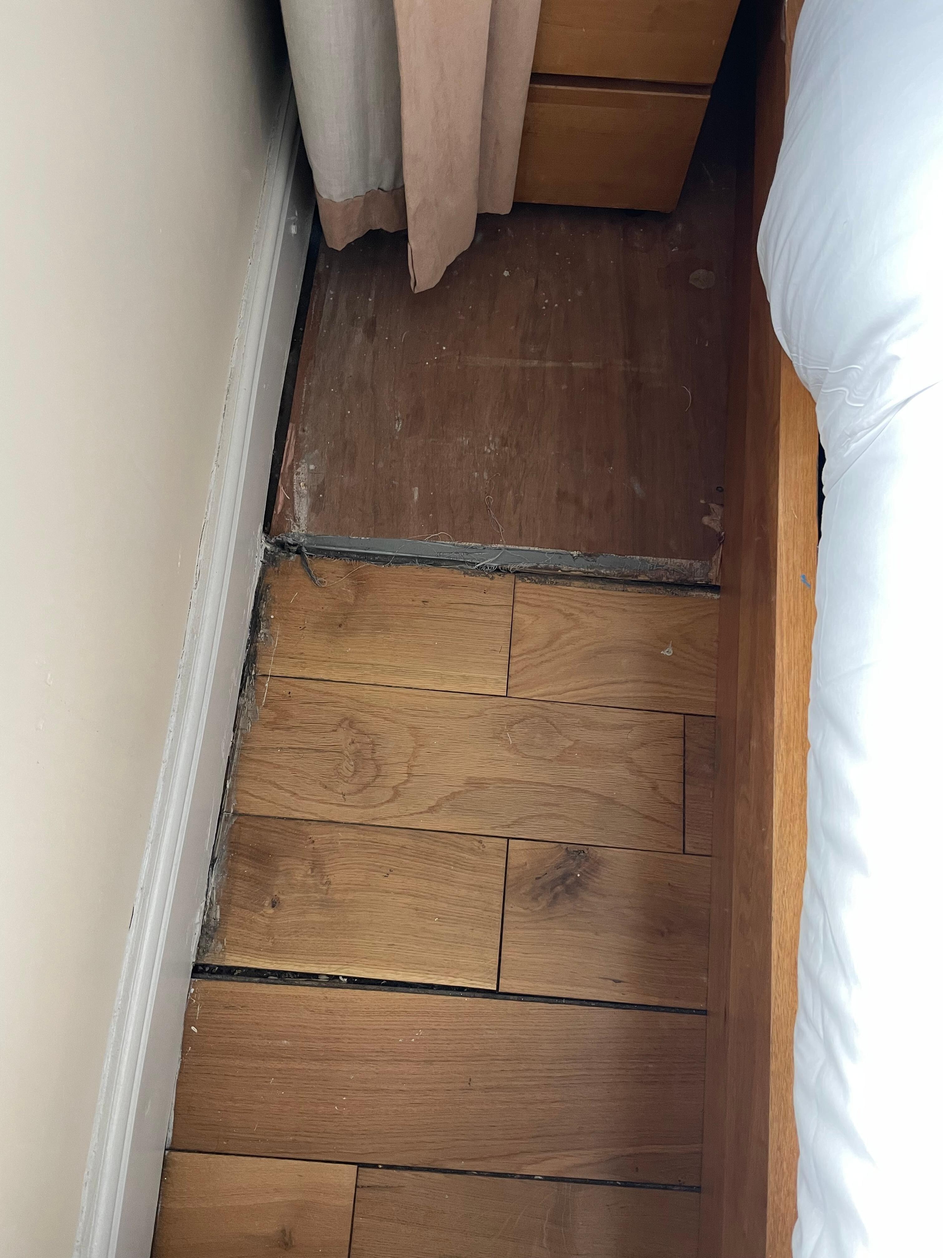mold in bedroom floorboards