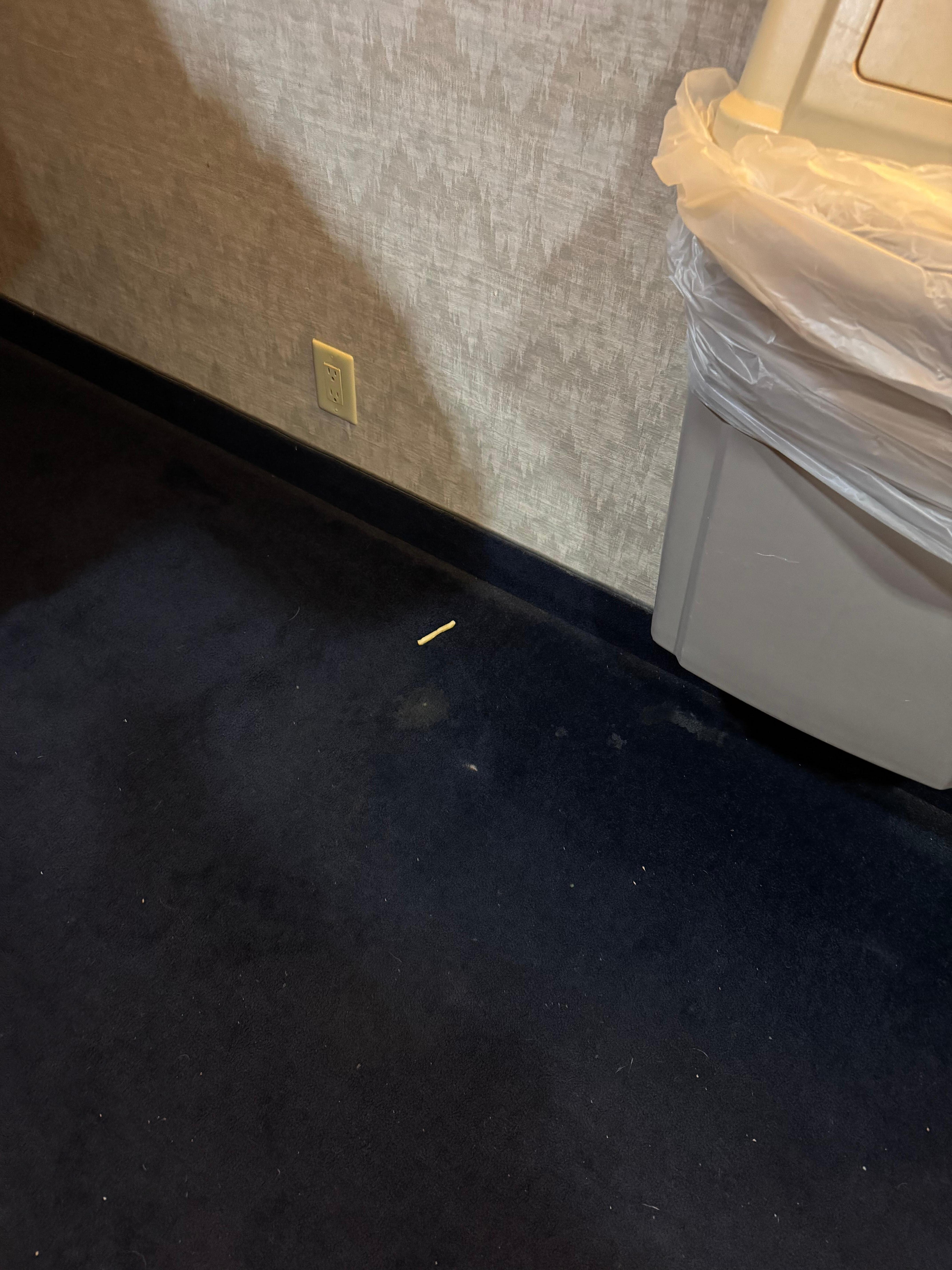 French fry on carpet didn’t move for 5 days