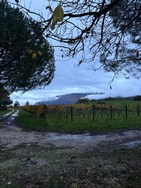 the yard had a spectucular view