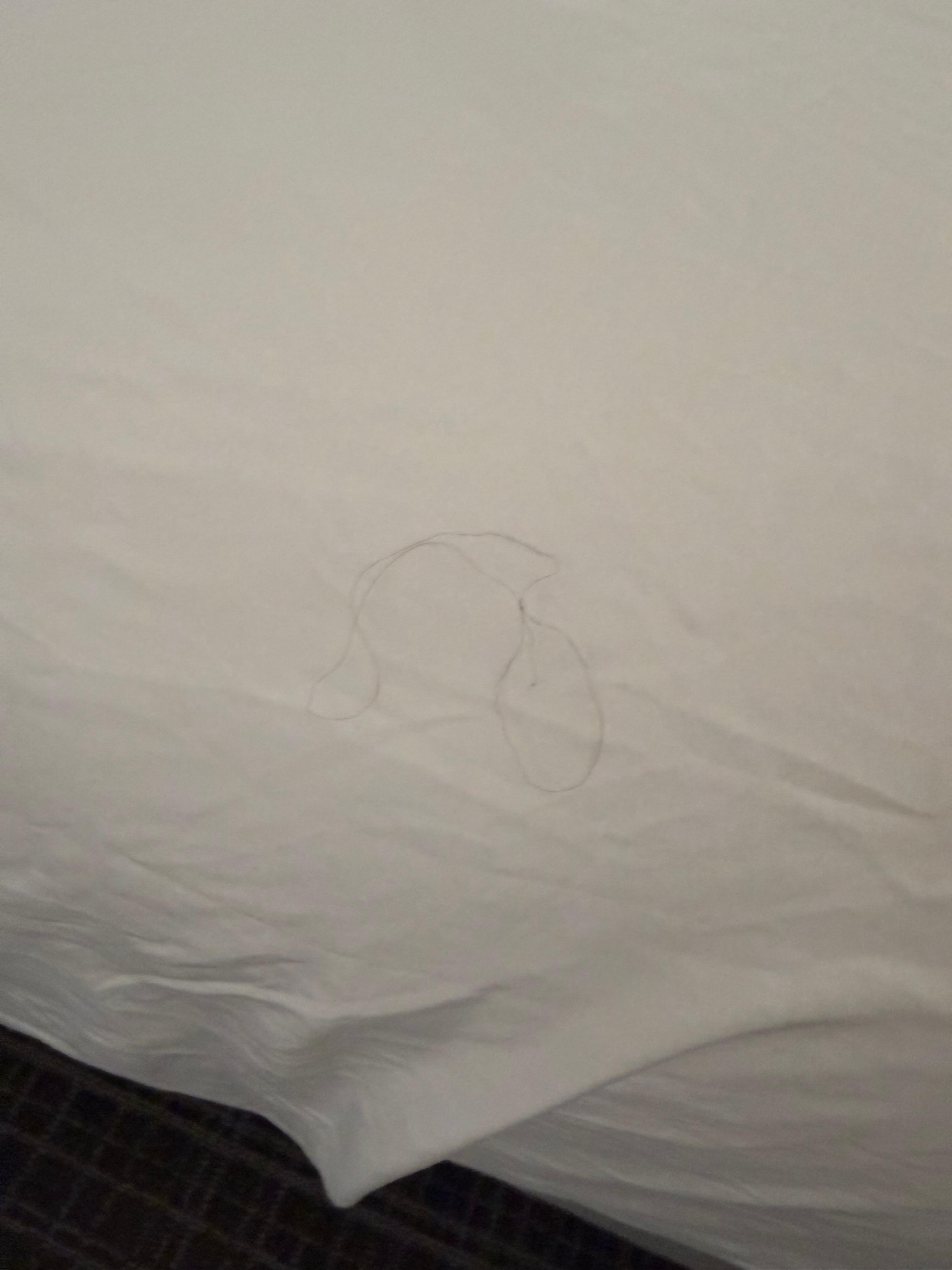 Hair on the bed in the hotel room.