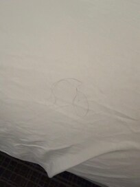 Hair on the bed in the hotel room.