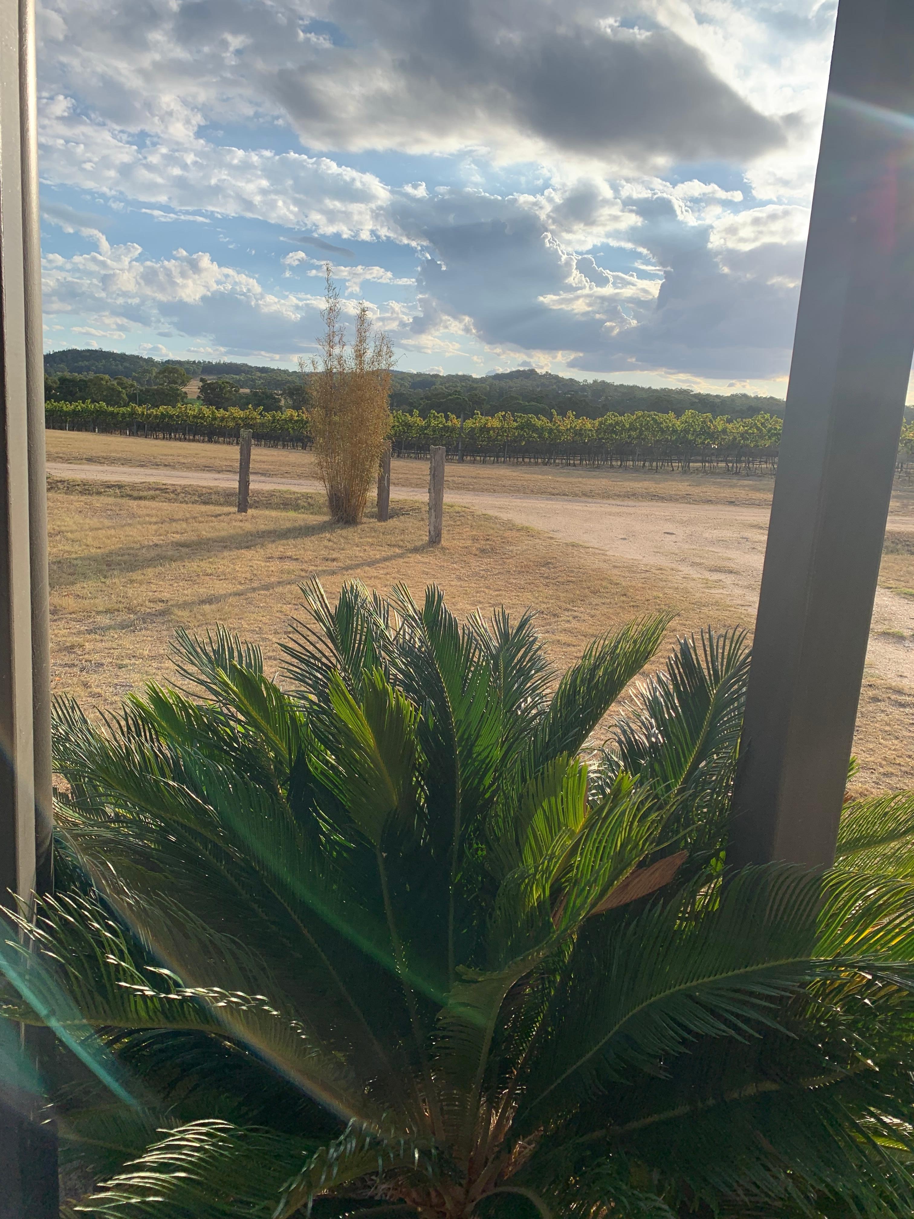 View from the front deck