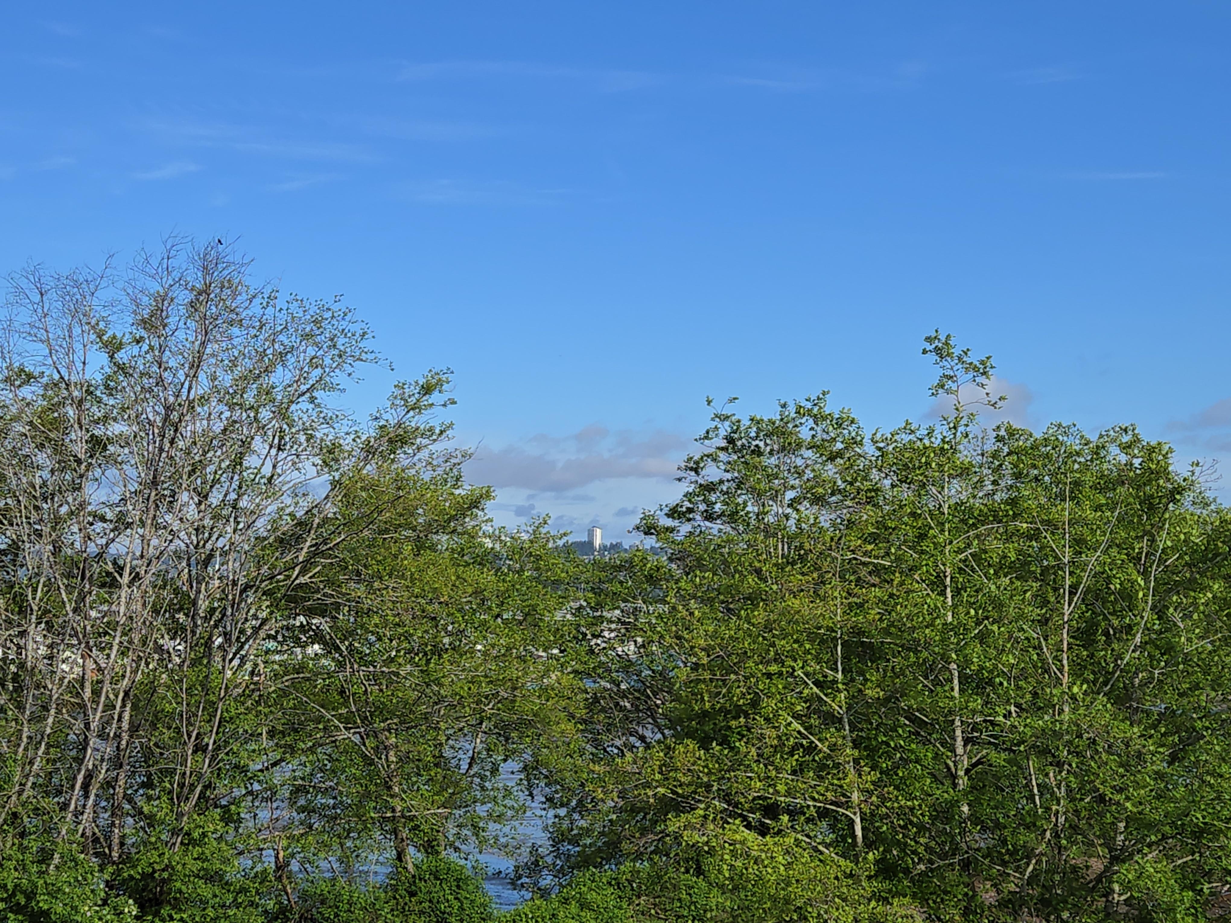 View from balcony