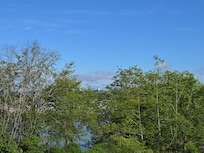 View from balcony