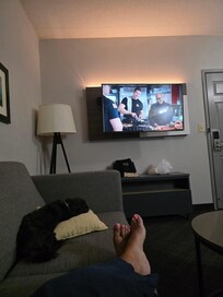 Pet friendly and enjoying the living area with TV while my husband watched the TV in the bedroom.