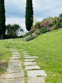Walk from the pool