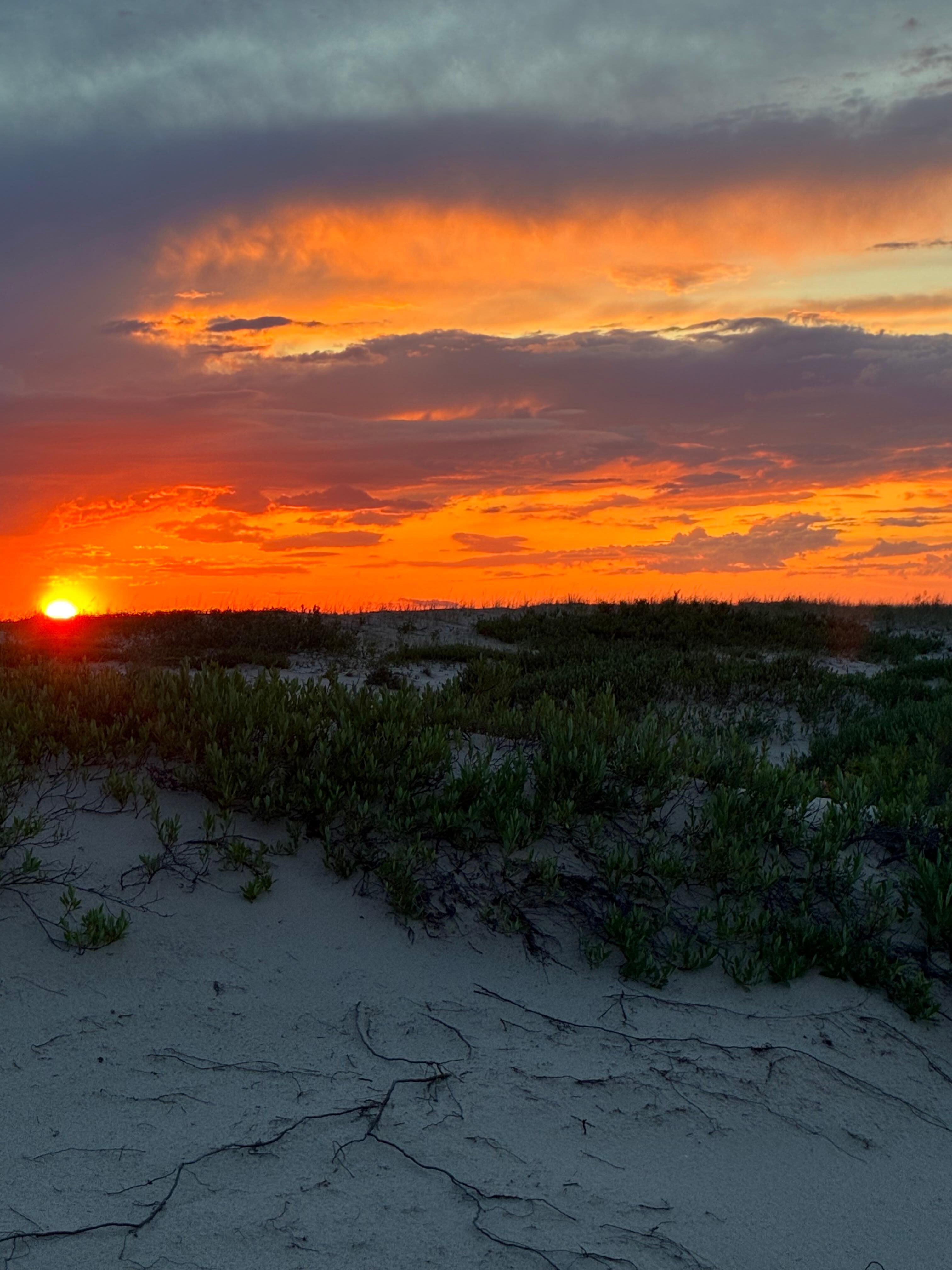 Beautiful Sunset