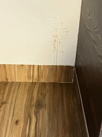 stained walls