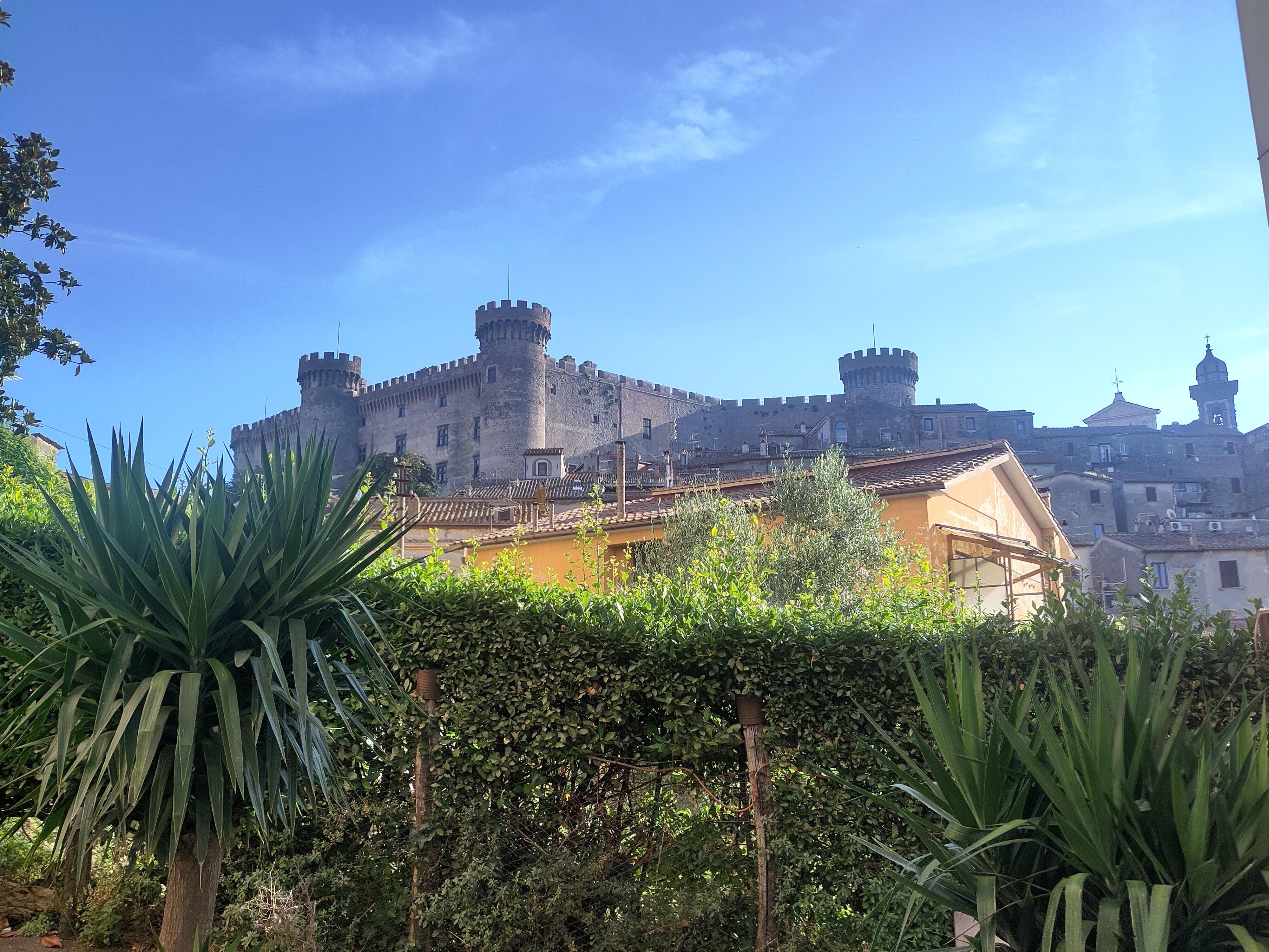 The castle