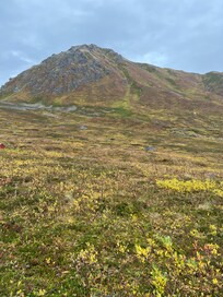 Hatcher Pass