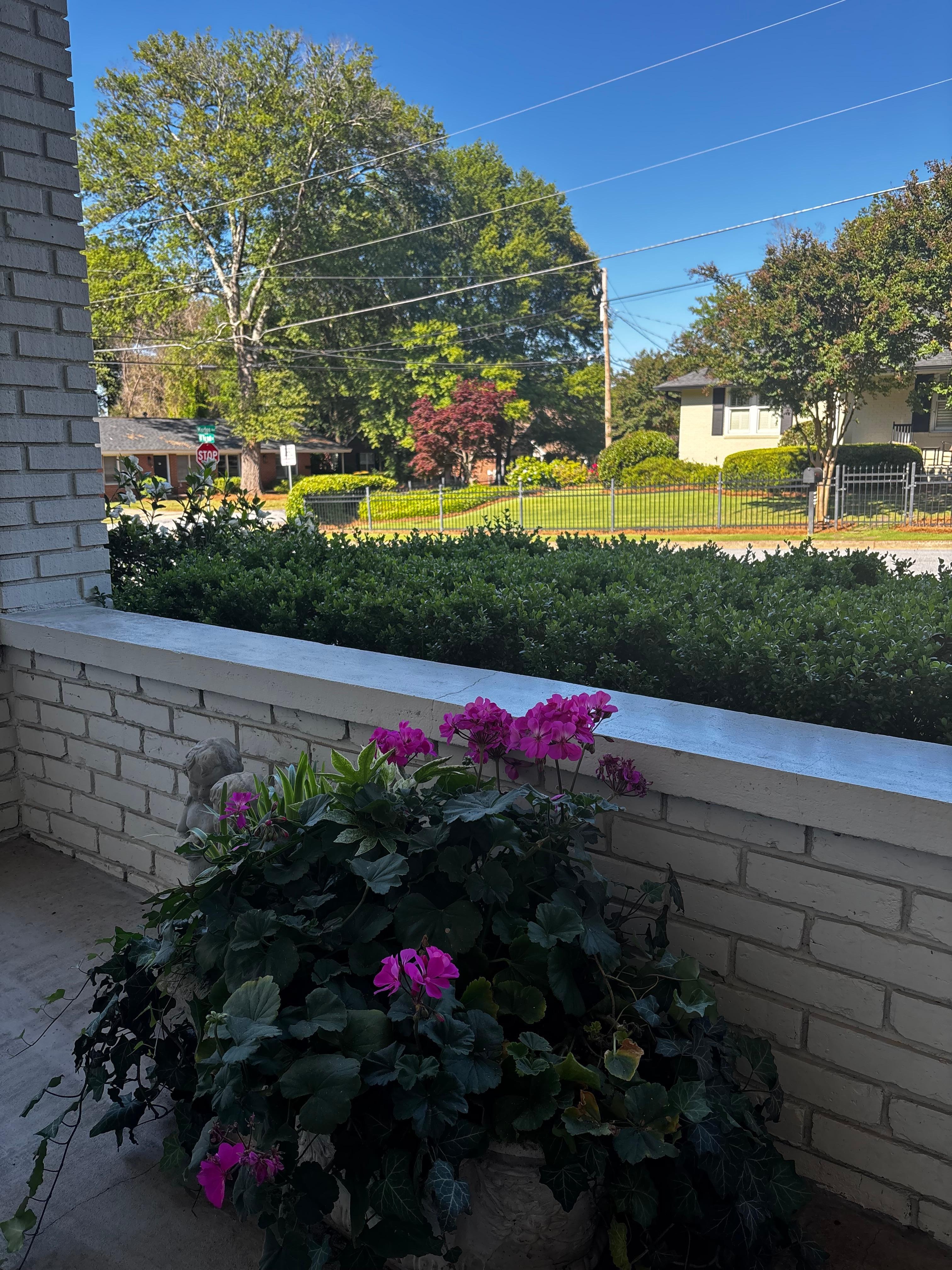 View from front porch 