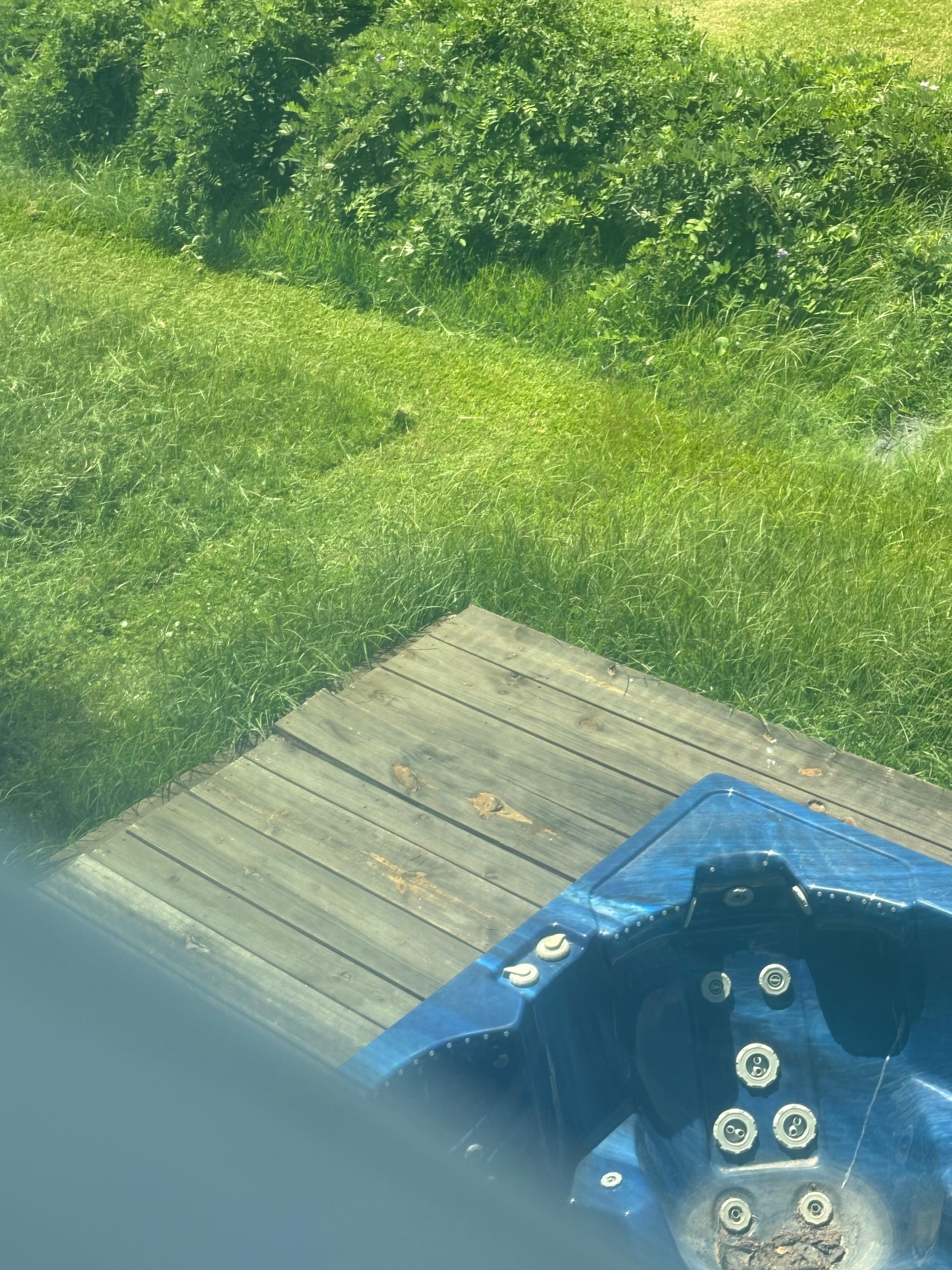 Yard being cut at 3PM day2