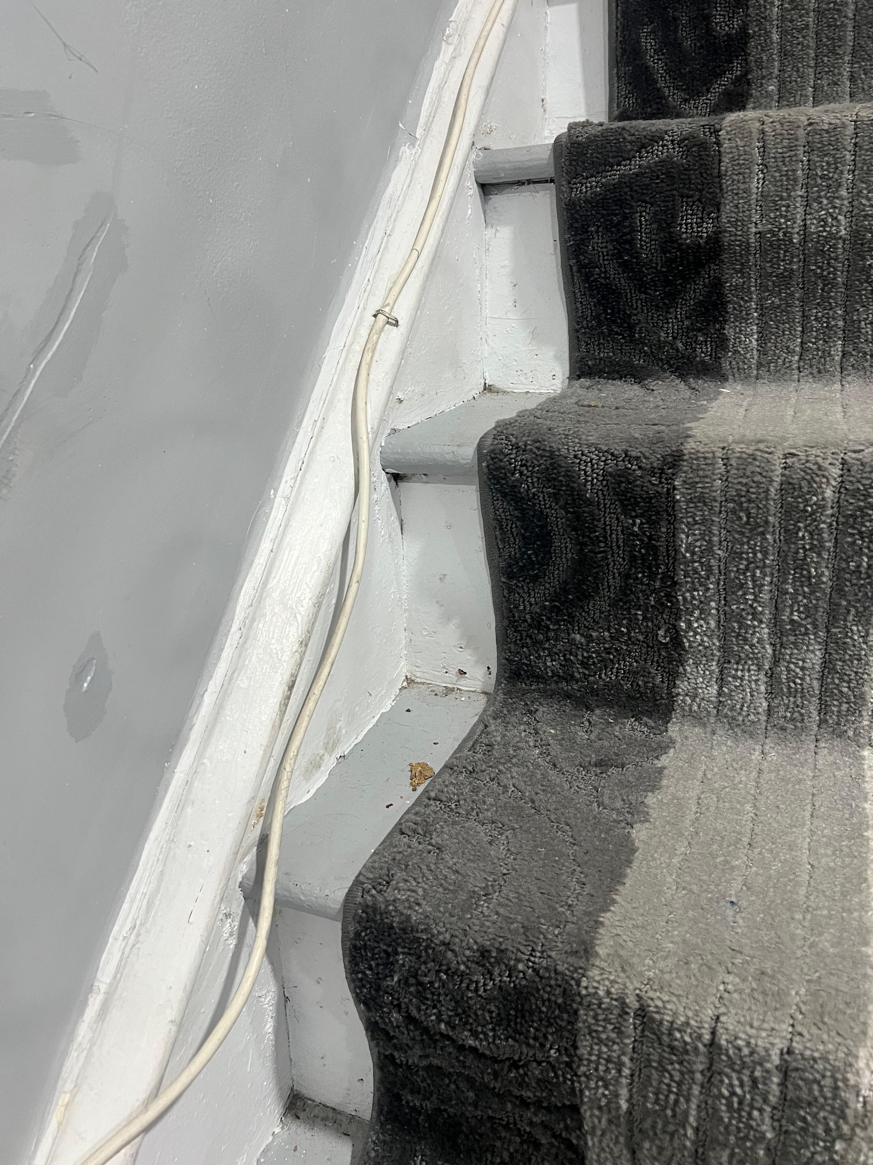 Dust and dirt all up the stairs - it was everywhere through the house including stains and dirty hand print  through out the home. 