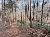 Trail to creek in back