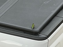 Our hummingbird friend!