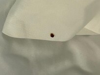One bug on my bed in the hotel