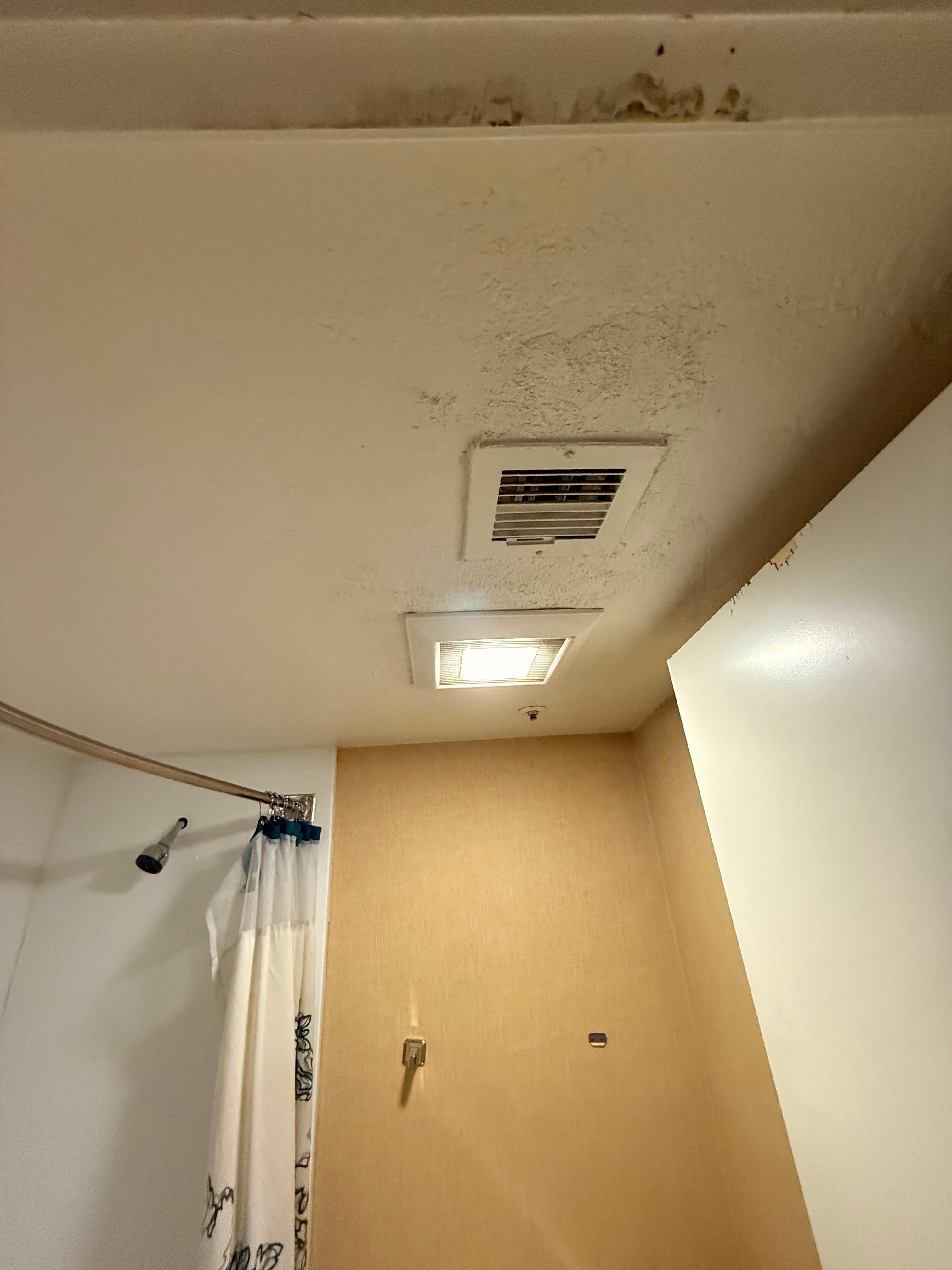 Mold in Bathroom