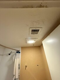 Mold in Bathroom