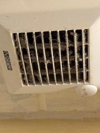 Filthy extractor