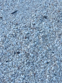 Shells for days, you won’t be disappointed