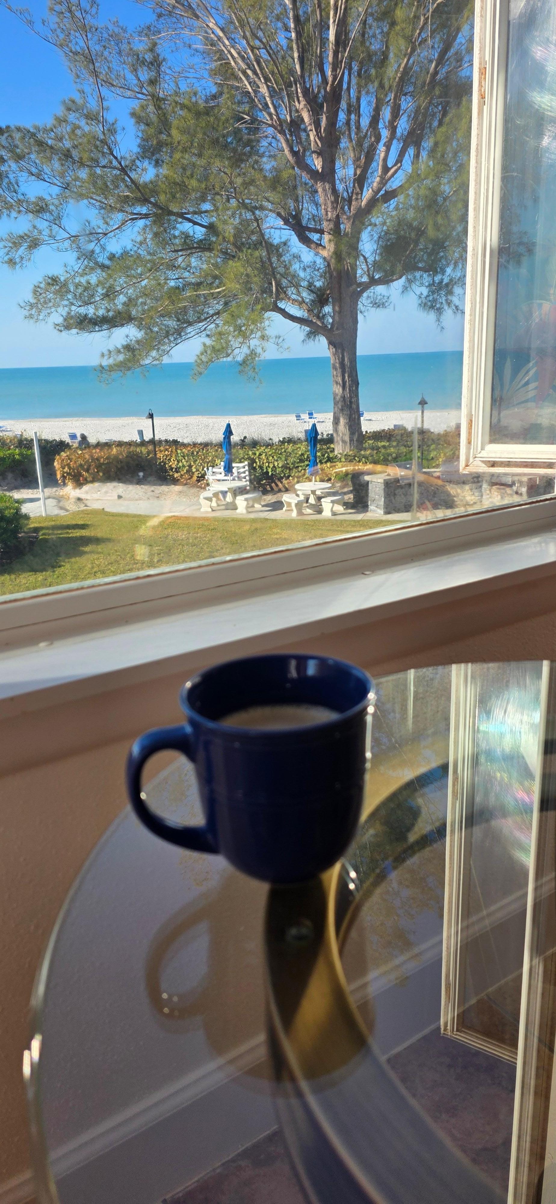 Perfect view for my morning coffee