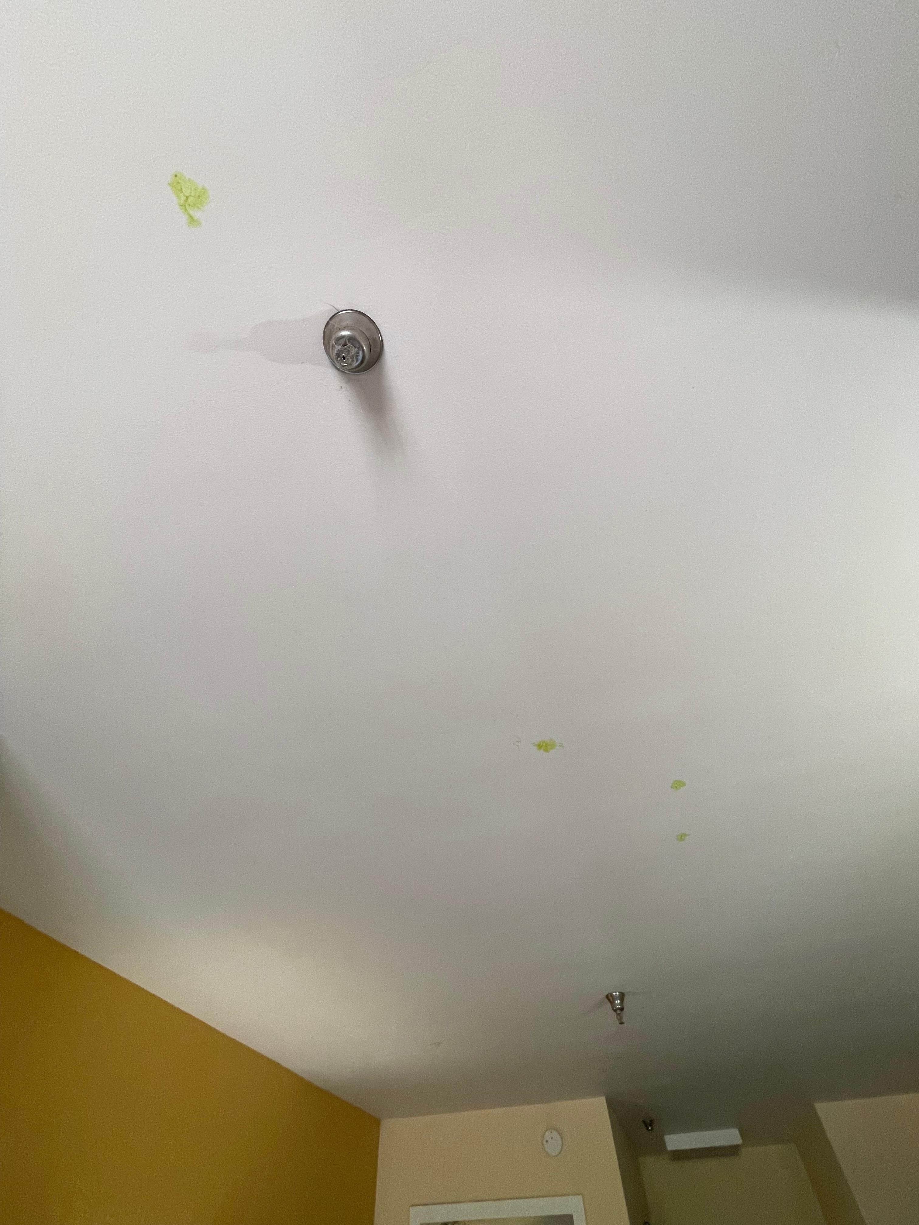 Green stains on the ceiling