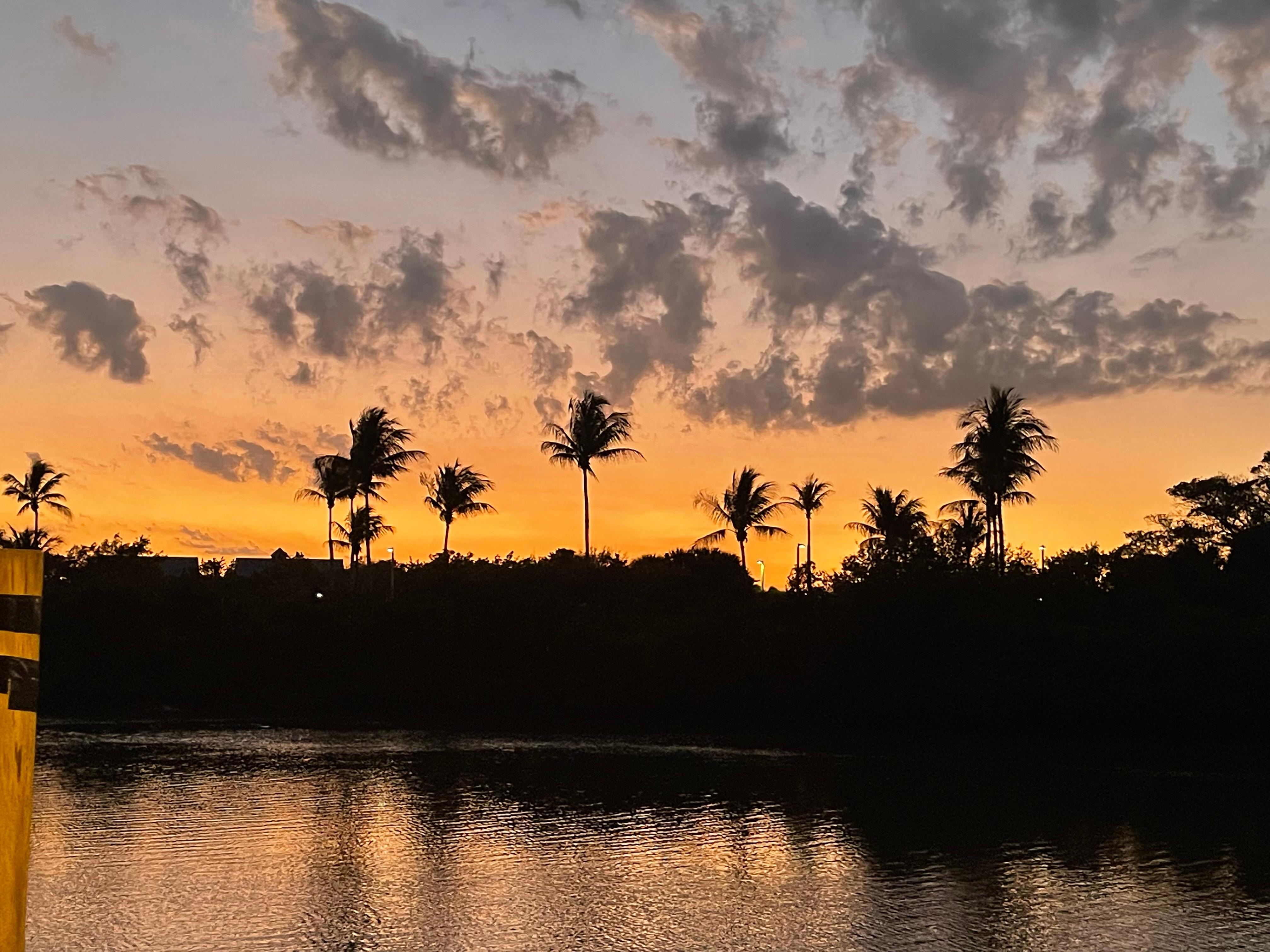 Sunset from the yard