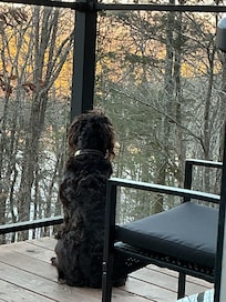 Enclosed deck
Pet friendly and safe