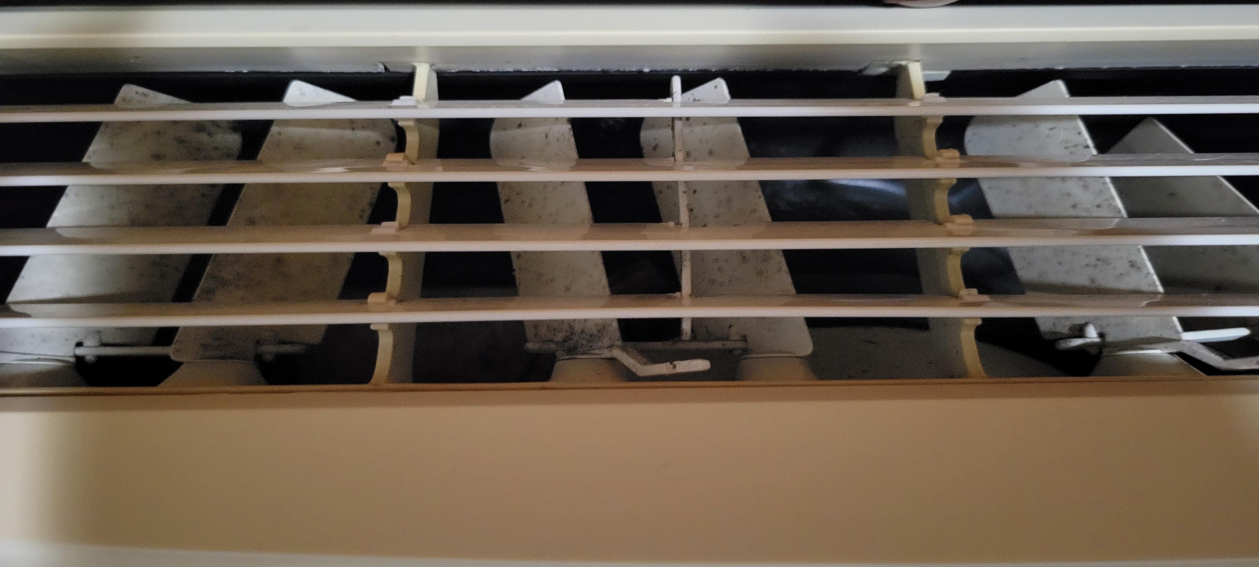 What appears to be mold/mildew on inside air conditioners. My allergies confirmed. 