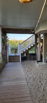 Underneath the house