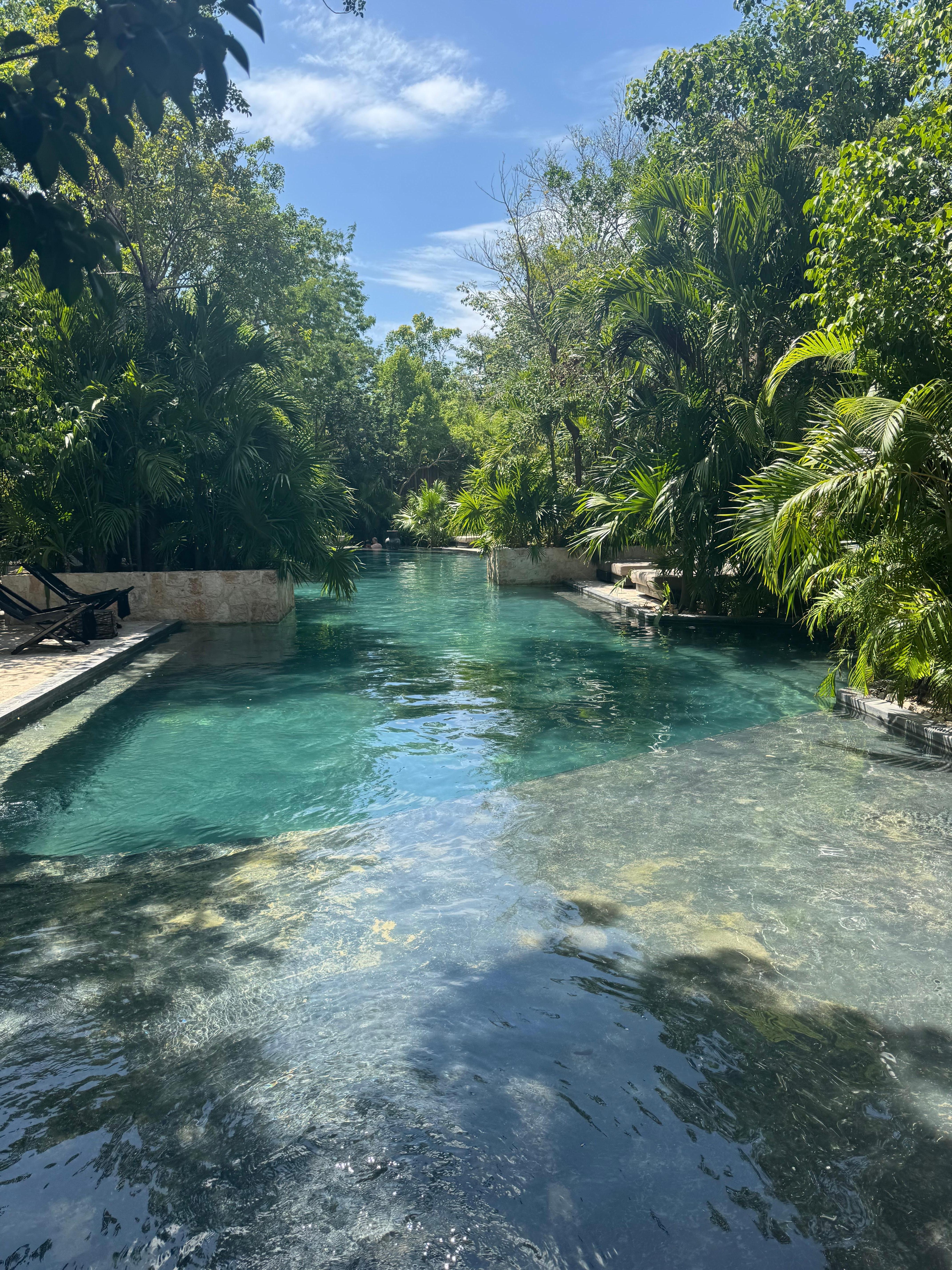 Pool Area
