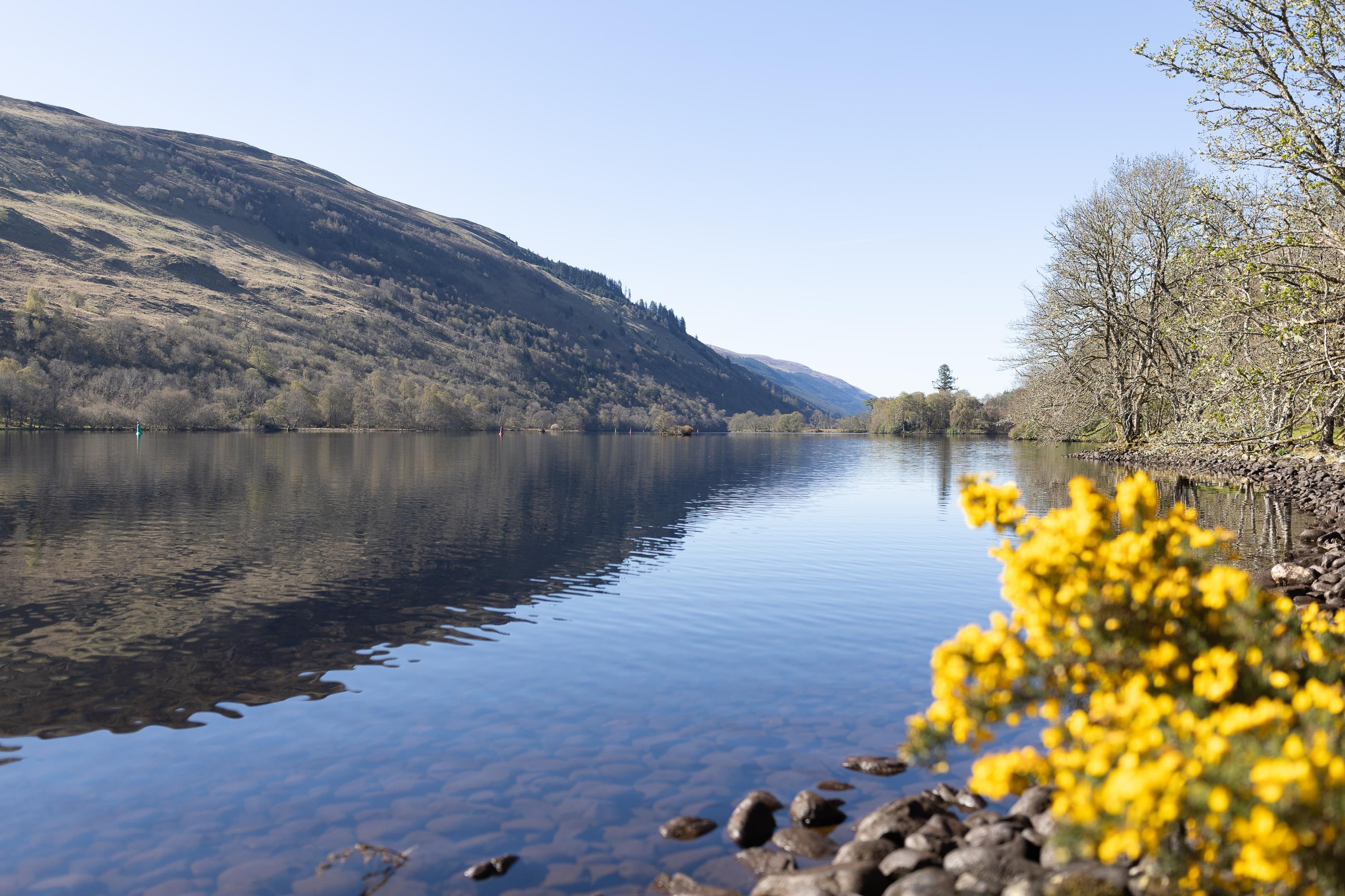 This is the view at the waters edge on the castle grounds.